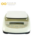 TD10002A Electronic Balance