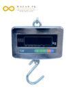 Hanging Scale