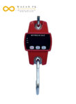 Hanging Scale